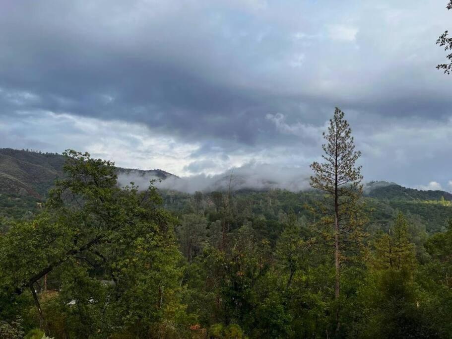 Yosemite'S Scenic Hideaway Villa Midpines Exterior photo